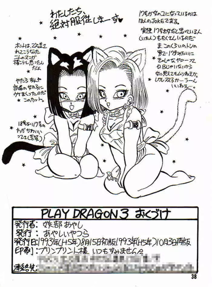 Play Dragon 3 - page39