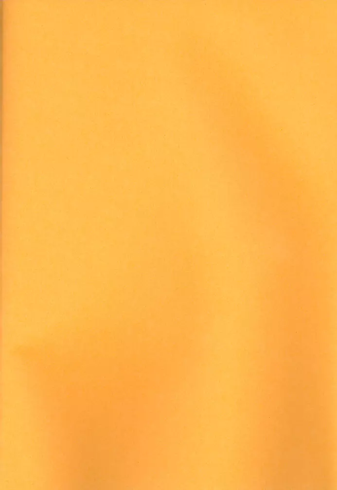 内容はふつうじゃないから... - page3