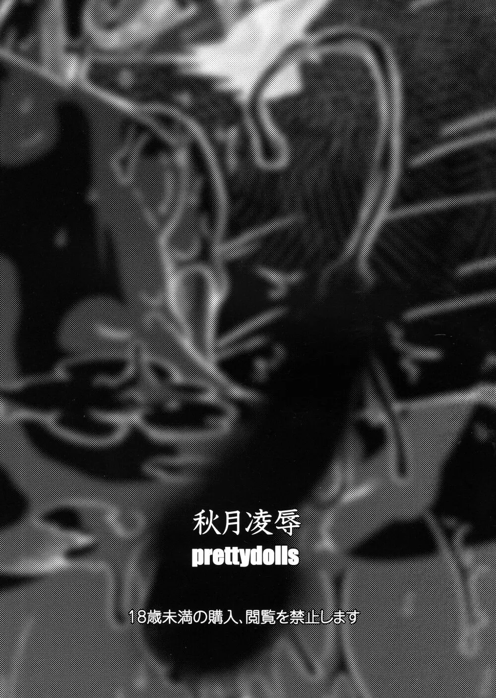 秋月陵辱 - page2