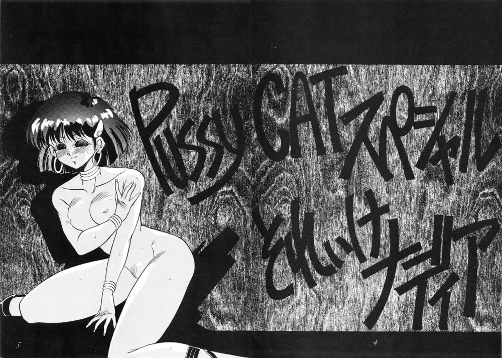Pussy・CATスペシャル それいけナディア - page6
