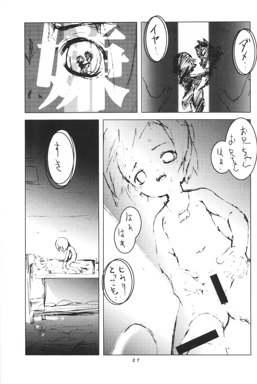 ヒカリン - page27