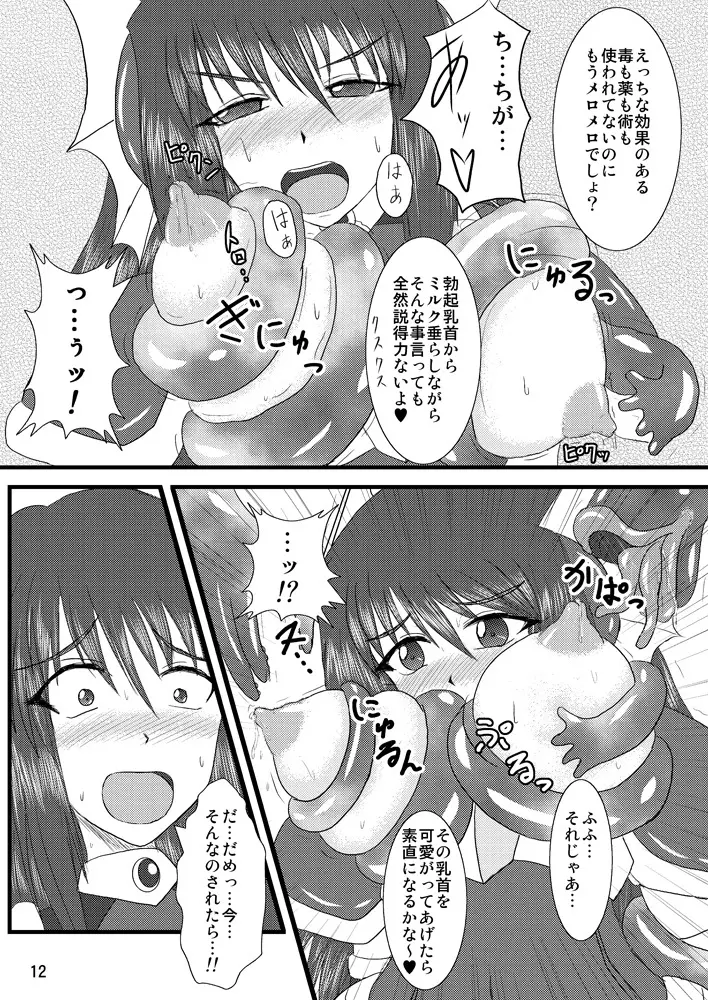 煌盾装騎エルセイン Vol.2 「Nightmare Agitator」 - page11