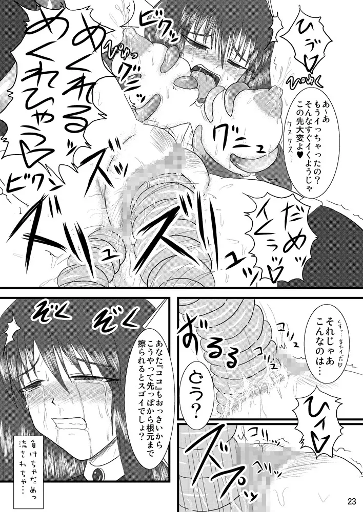 煌盾装騎エルセイン Vol.2 「Nightmare Agitator」 - page22