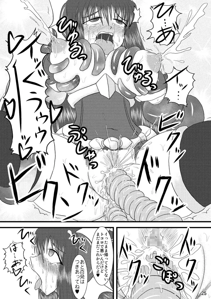 煌盾装騎エルセイン Vol.2 「Nightmare Agitator」 - page24