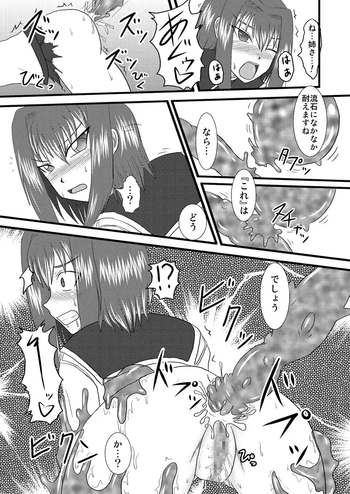 煌盾装騎エルセイン Vol.3 「Aphrodisiac Plague」 - page25