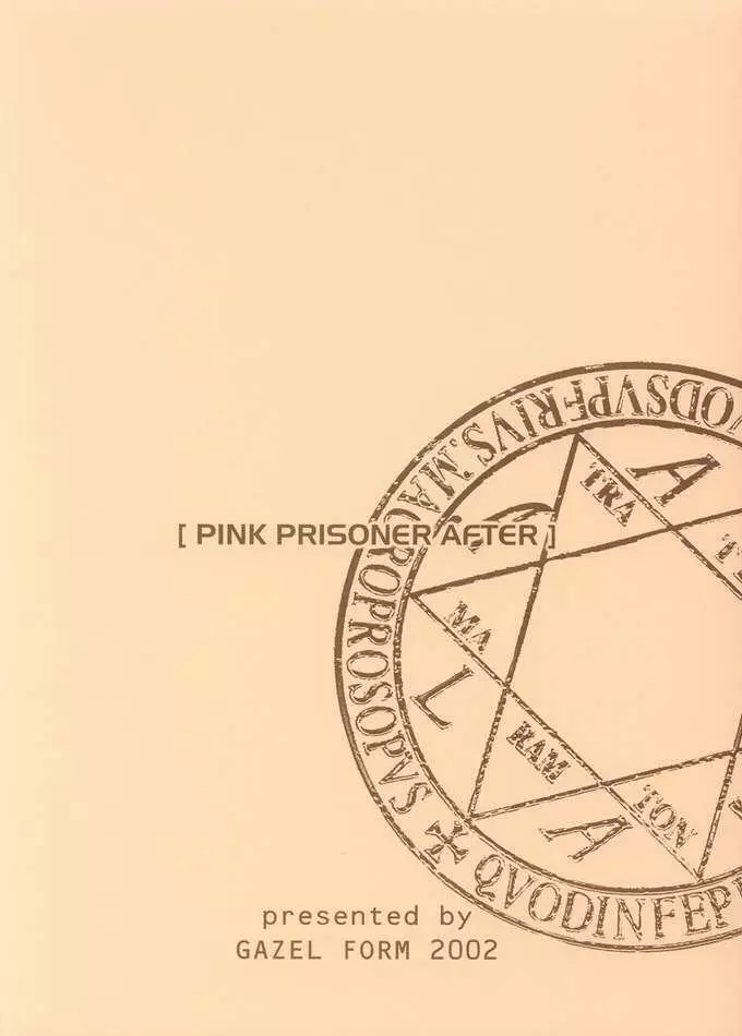 P.A.P. PINK PRISONER AFTER - page10