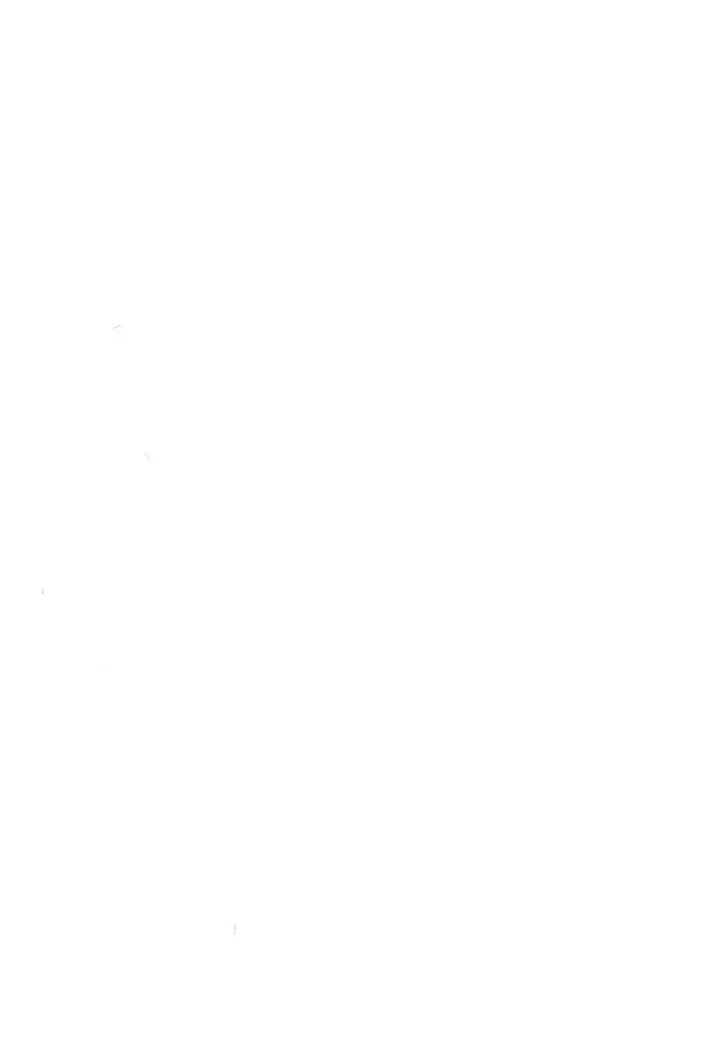 Wellington - page2