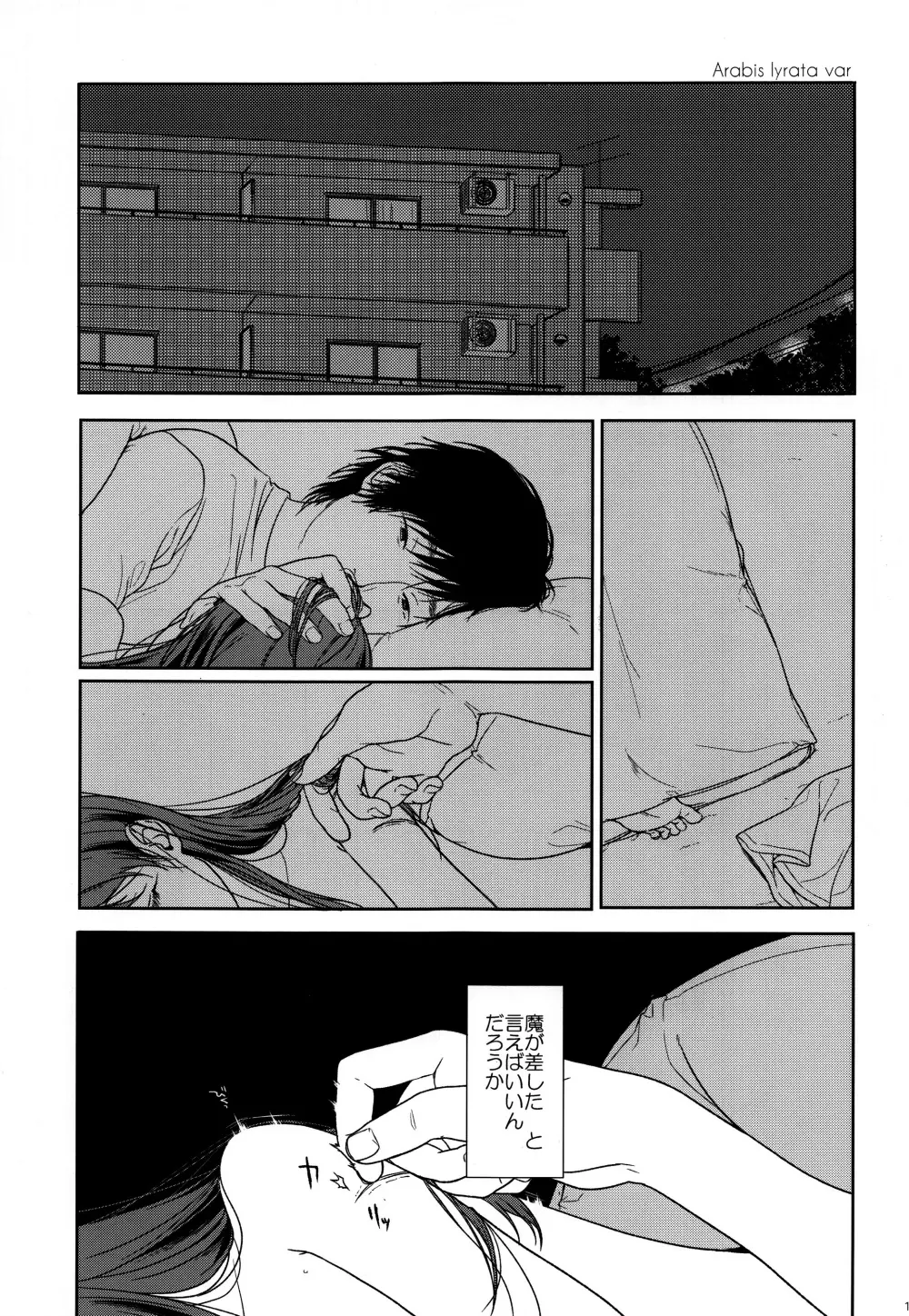 HYDRANGEA - page104