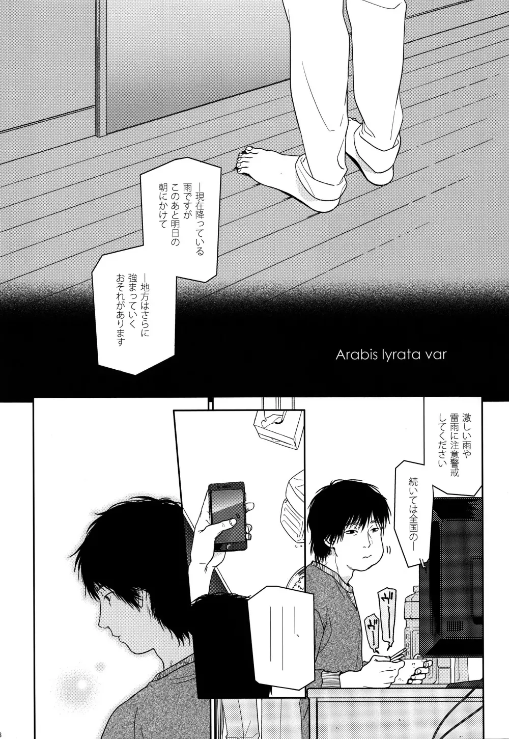 HYDRANGEA - page109