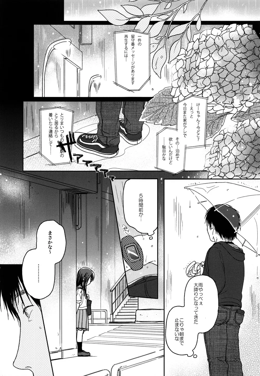 HYDRANGEA - page6
