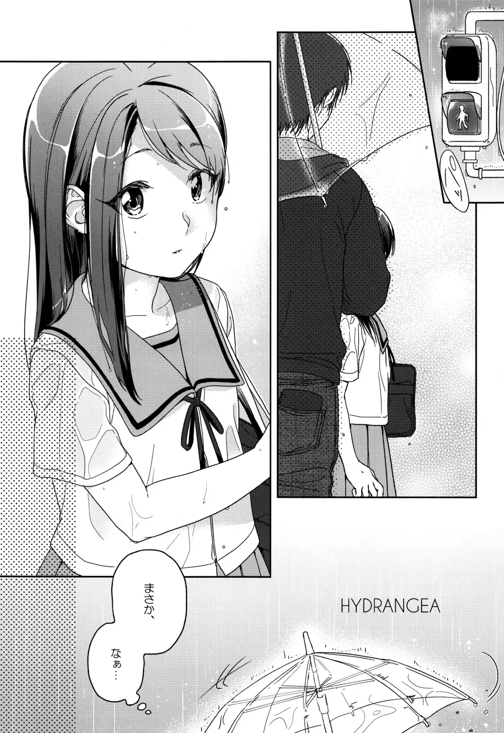 HYDRANGEA - page7