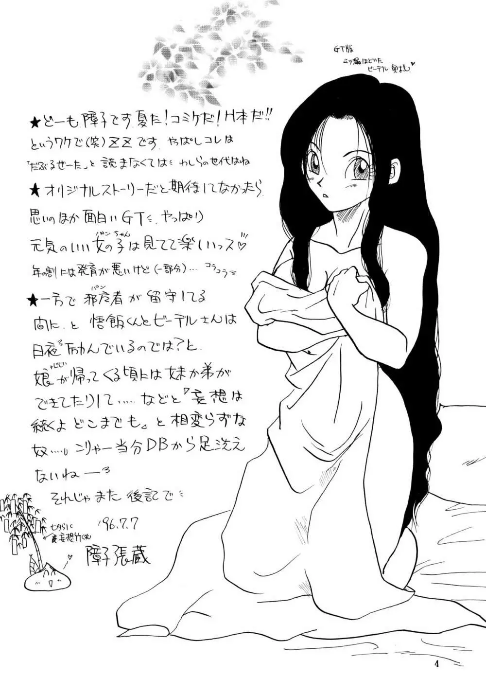 ZZ - page4