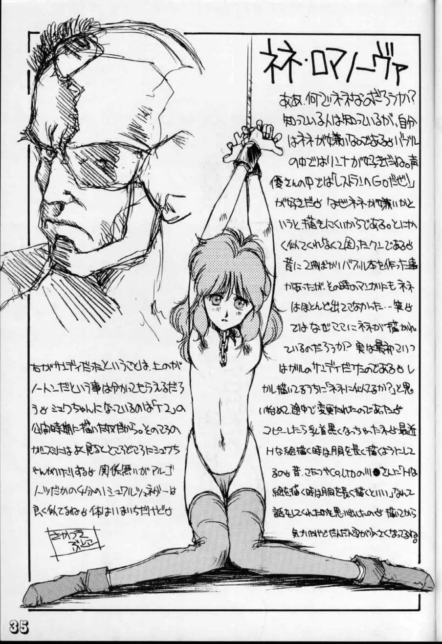 劇空間エキサイト本シリーズ1 がんすみすきゃっつ本 - page31