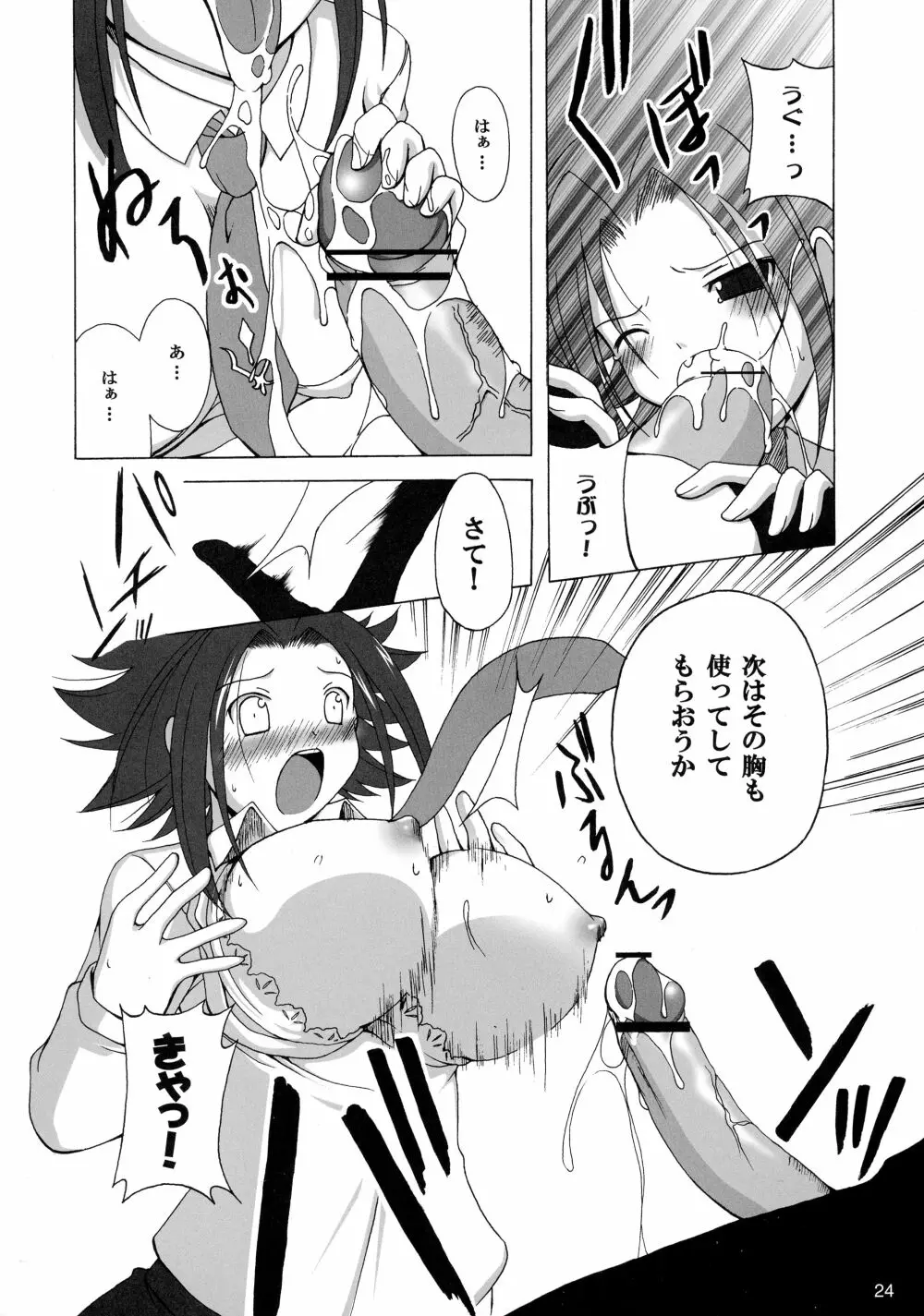GEASSMIX - page24