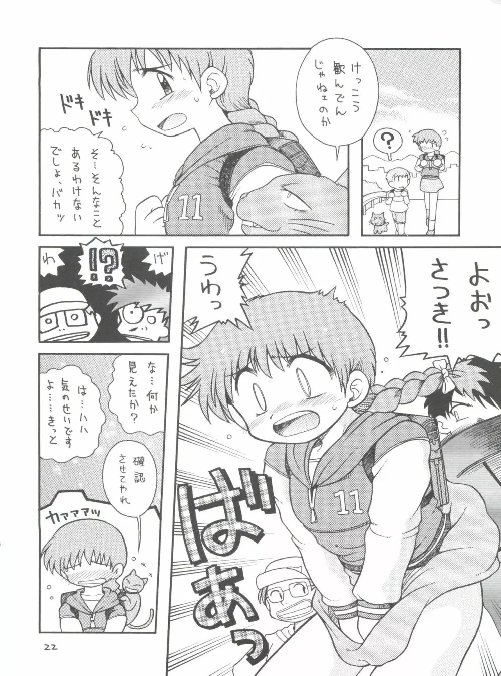 BOTTOMLINE C60 - page21