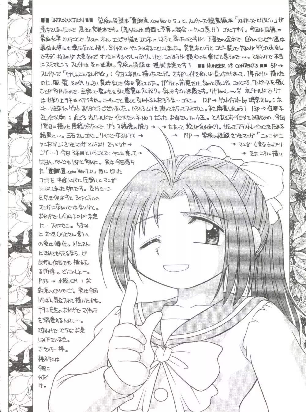 BOTTOMLINE C60 - page3