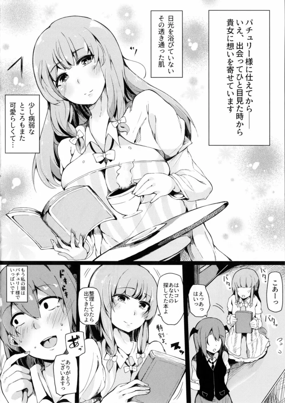 小悪魔がパチュリーに媚薬ザーメン注いで虜にしちゃう本 - page5