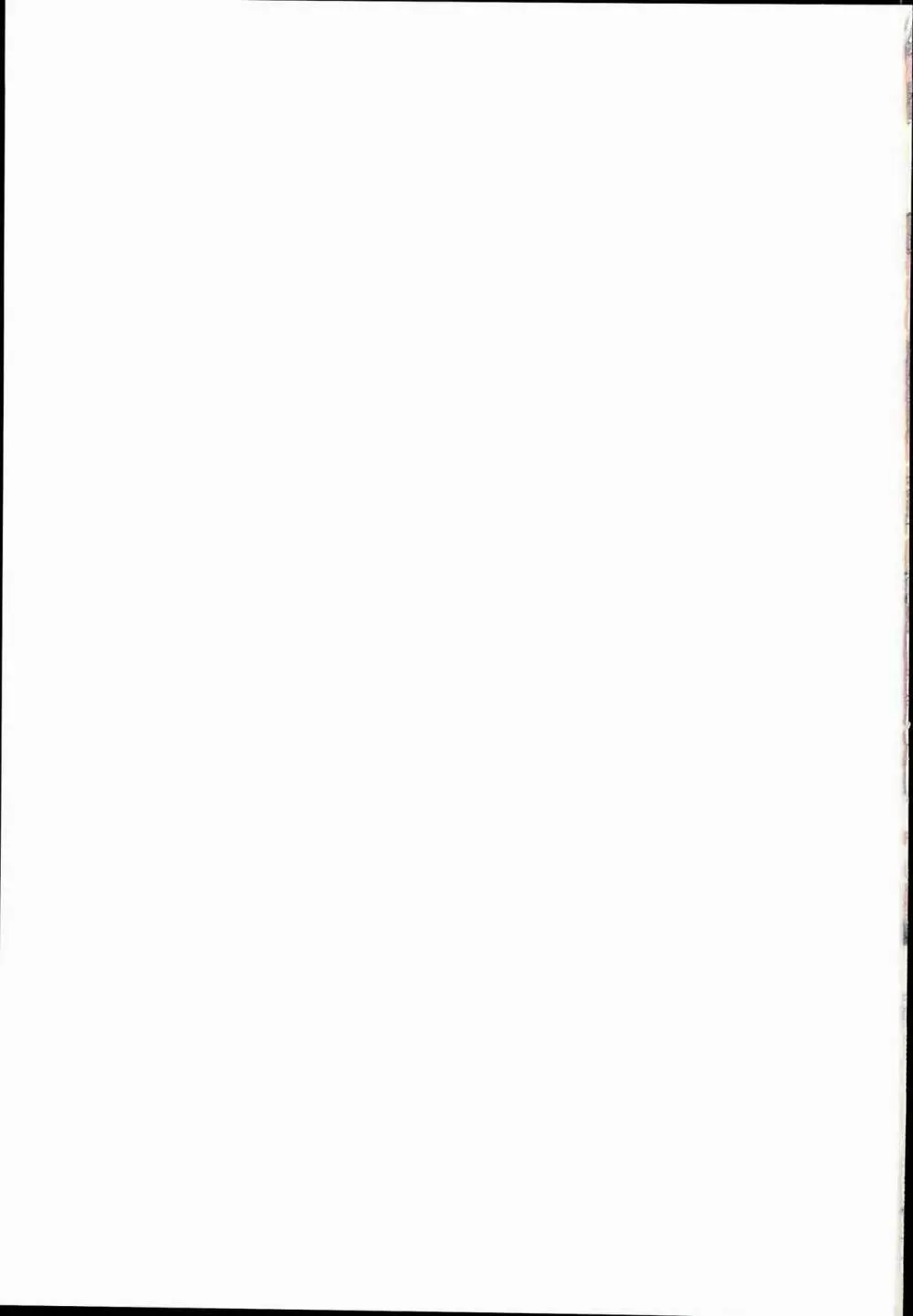 コルワさんのちっさな水着でHに発情する騎空団 - page21