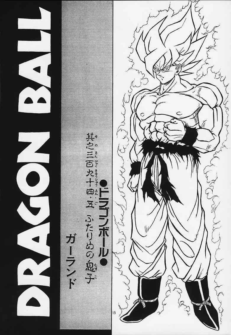 ドラゴンボールH 巻一・二 再版 - page14