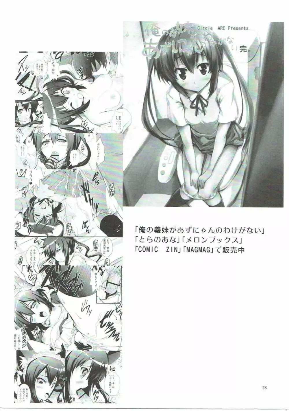 電波とスマキと親子丼ブリ - page22