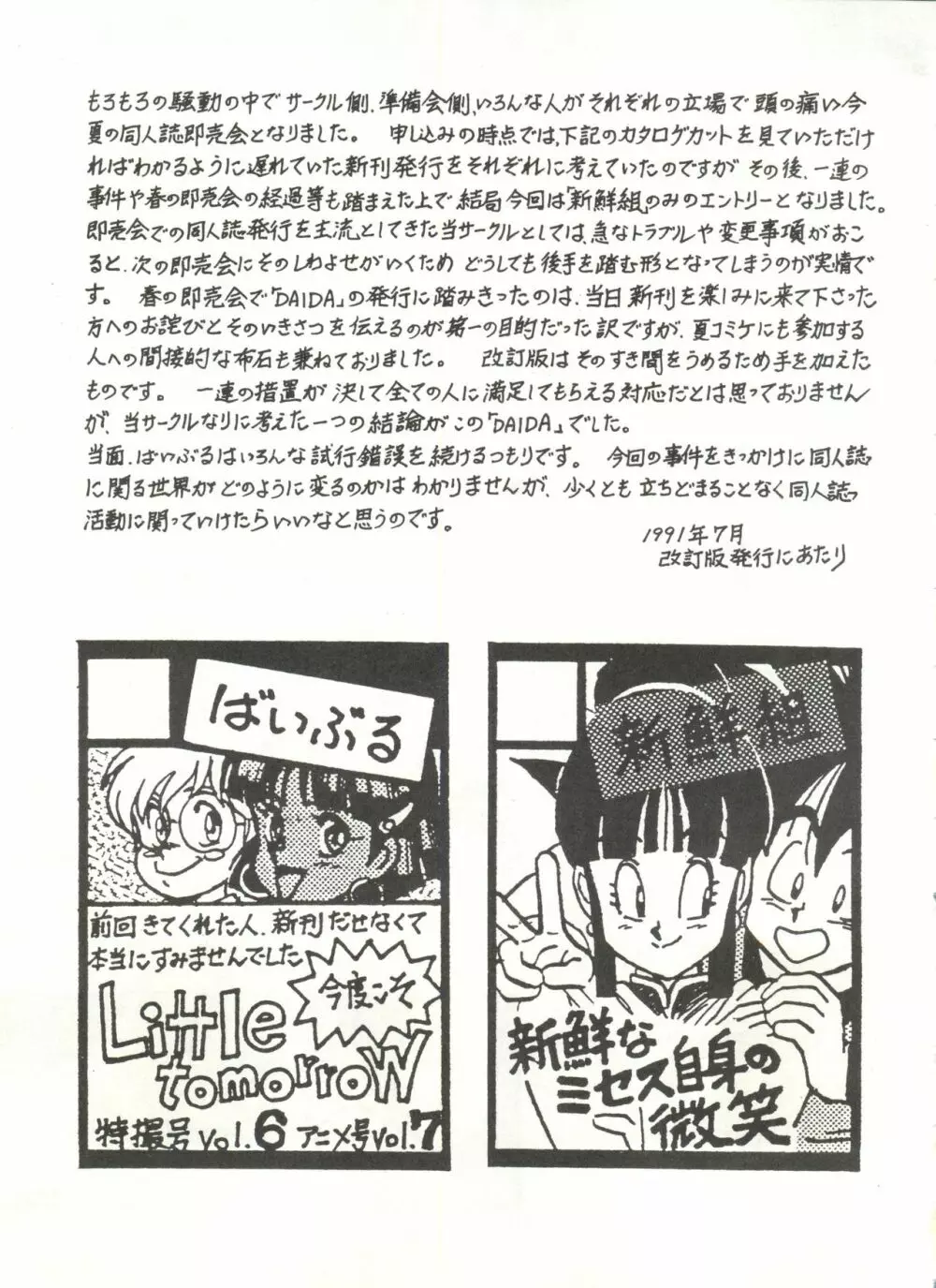 DAIDA 改訂版 - page11