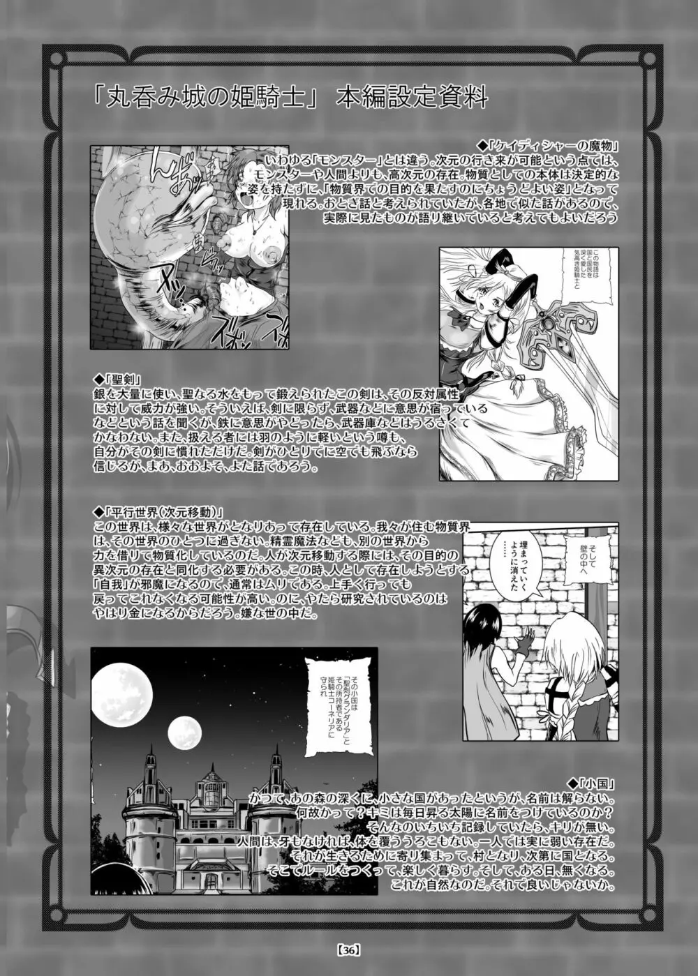 丸呑み城の姫騎士 - page41