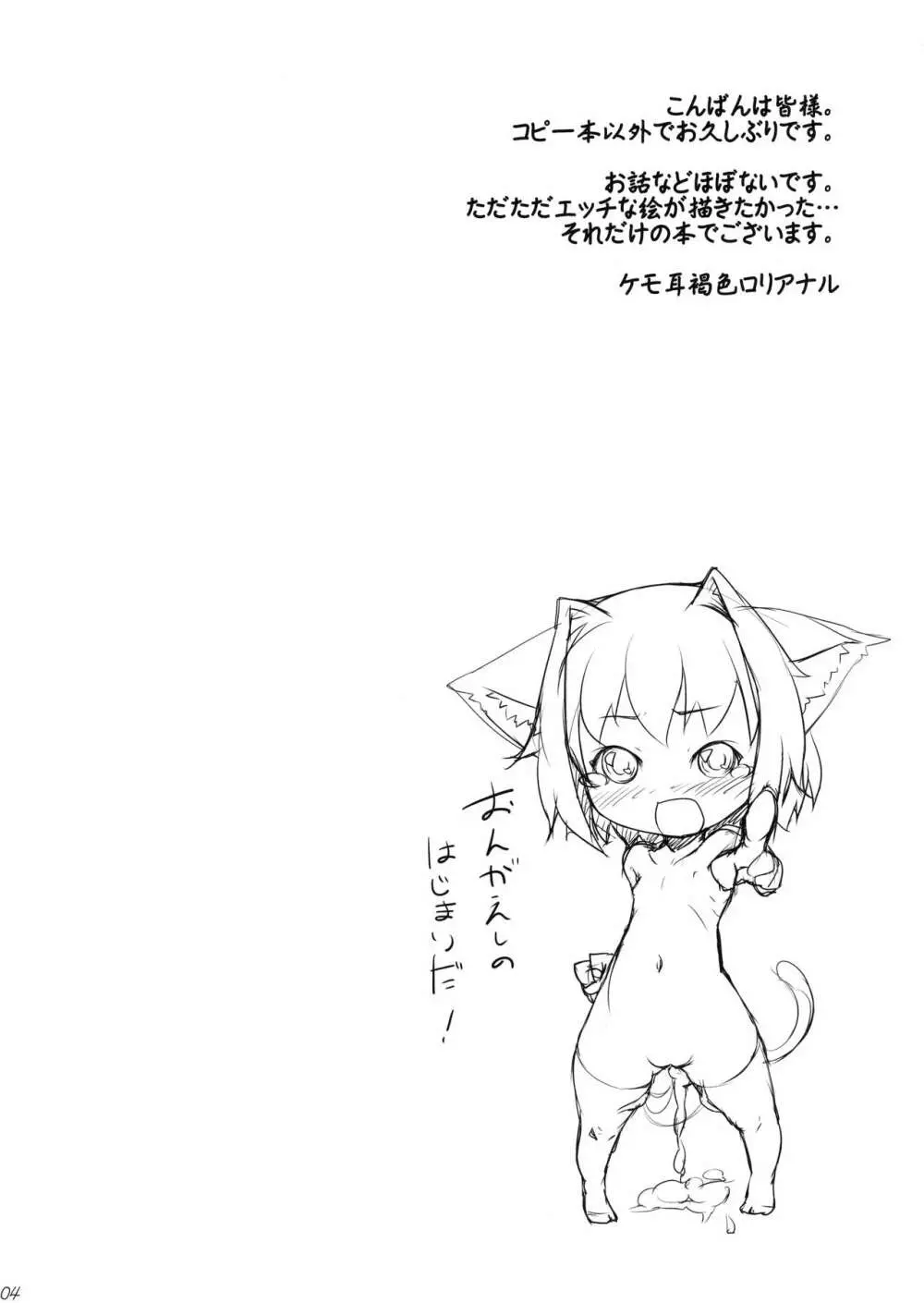 猫の恩返し - page3