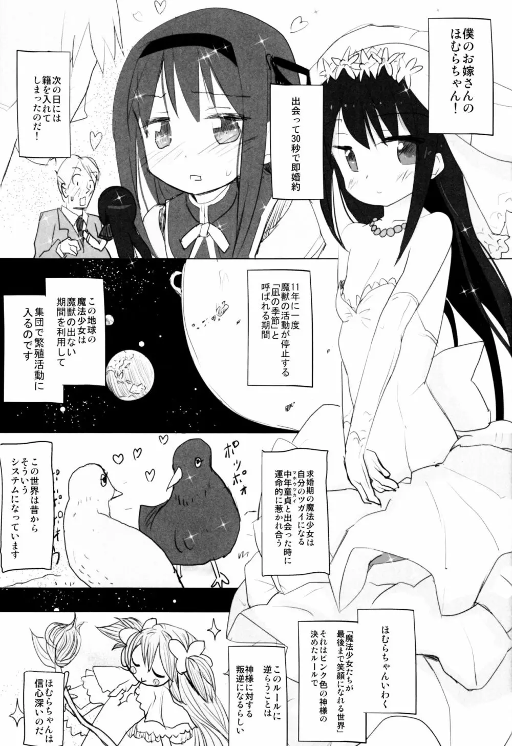 あなたのことが大好きなほむらちゃんと行く集団露出新婚旅行ハワイ!! - page2