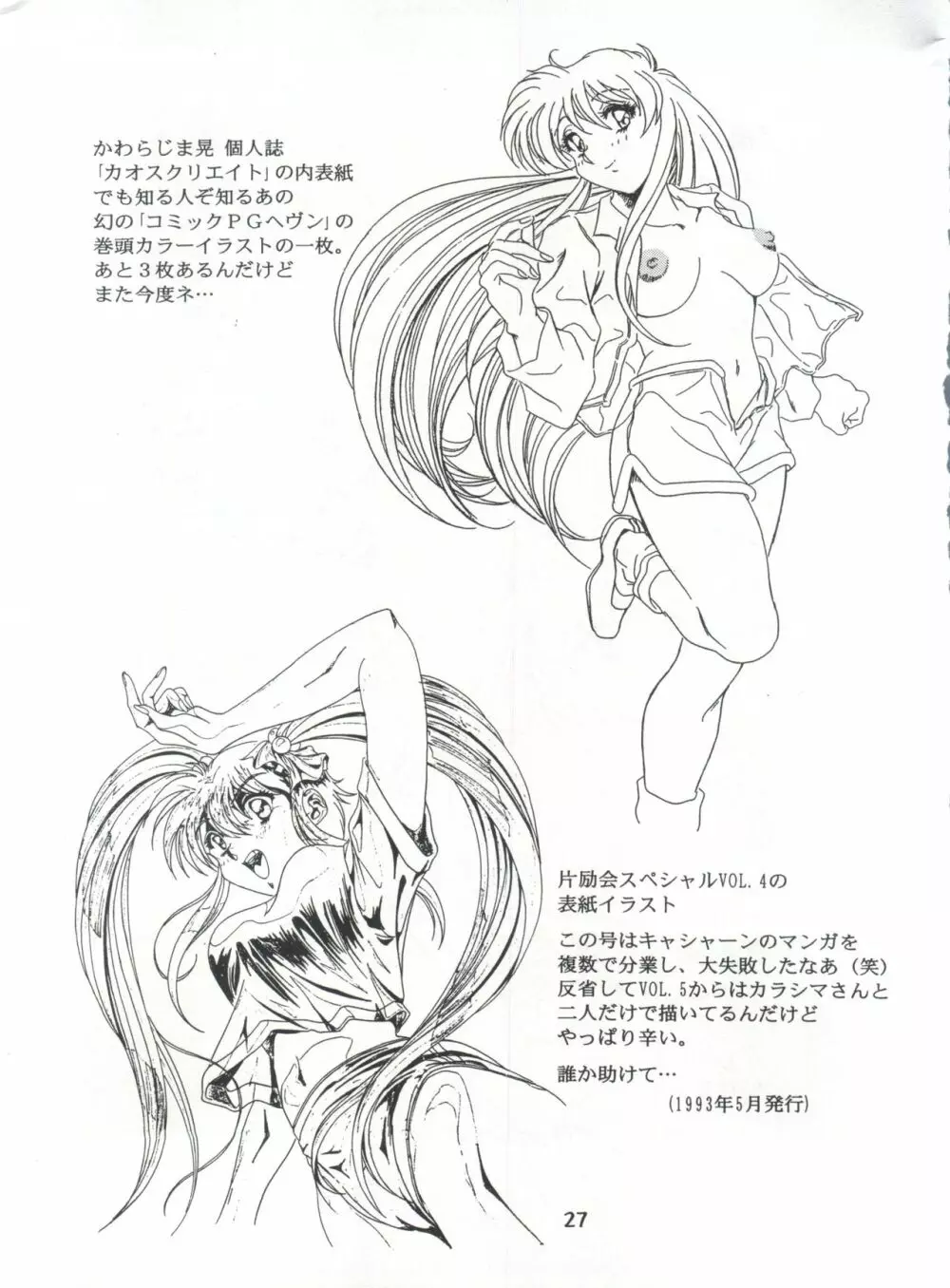 片励会スペシャル Vol.7 - page26