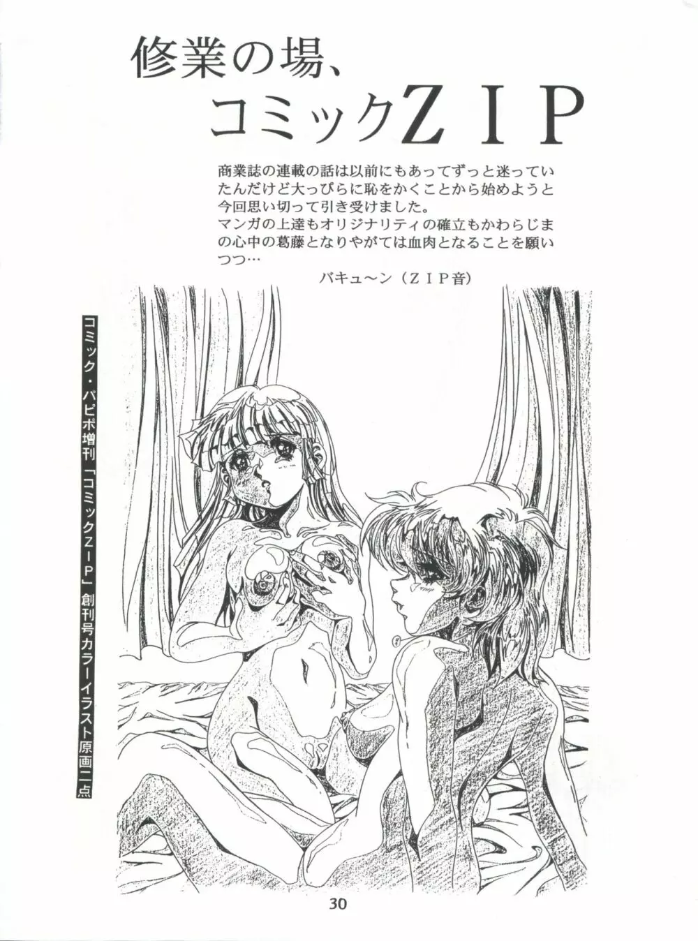 片励会スペシャル Vol.7 - page29
