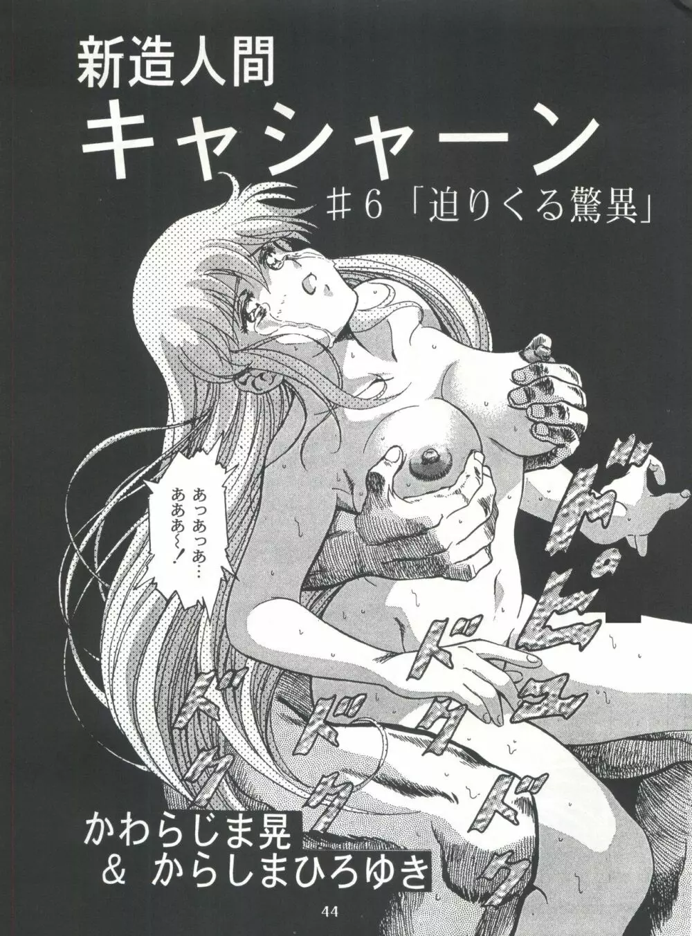 片励会スペシャル Vol.7 - page43