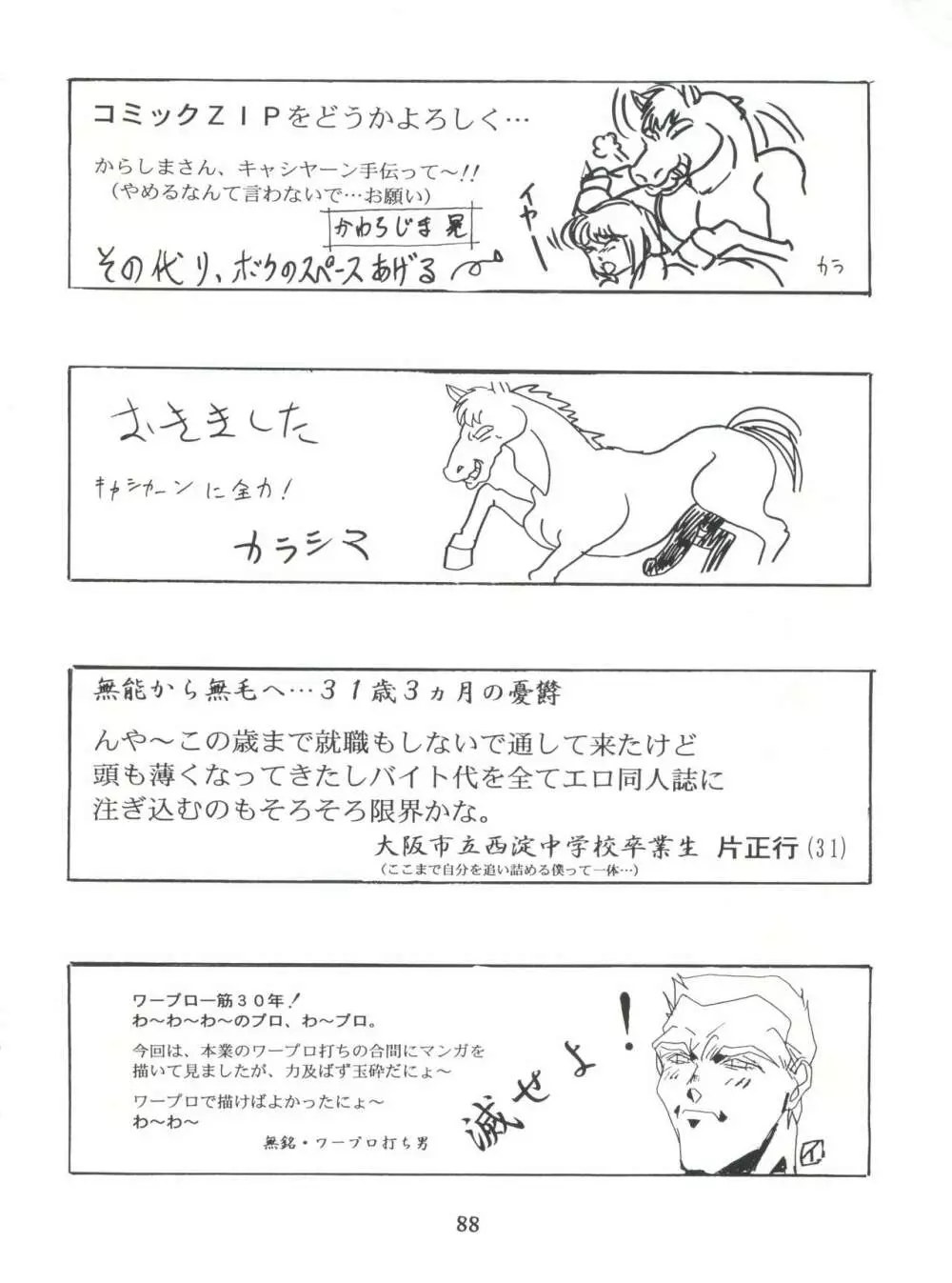 片励会スペシャル Vol.7 - page87