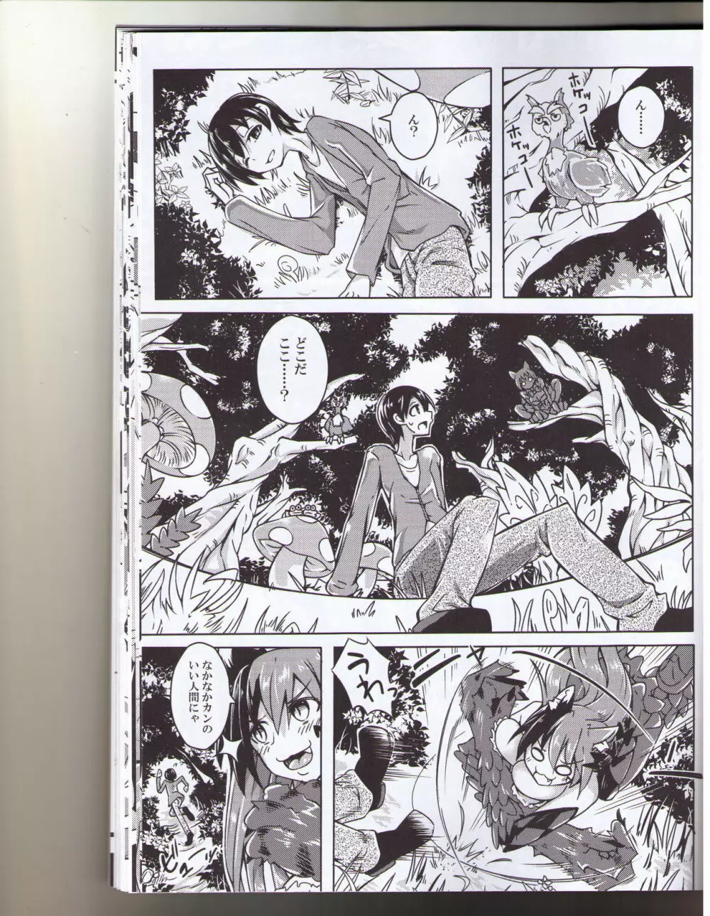 私の魔物娘を紹介します!EX図鑑総集編 - page2