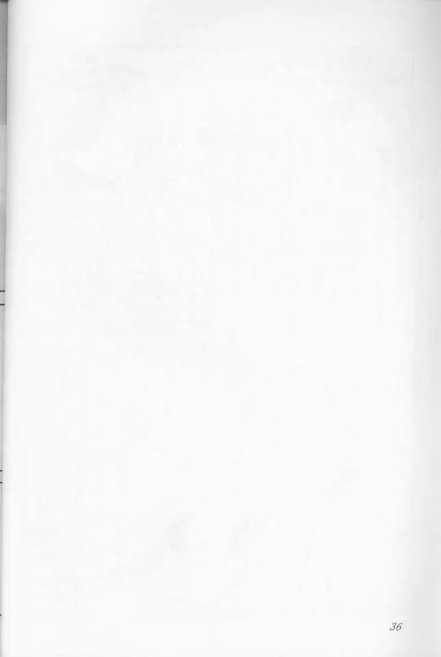O DECO STYLE - page36