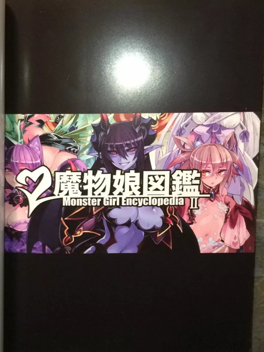 魔物娘図鑑II ~Monster Girl Encyclopedia II~ - page4